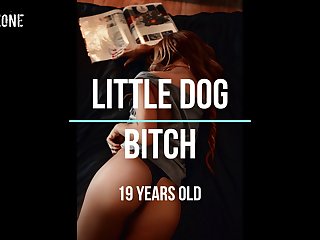 Bestiality Mare Porn