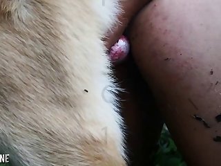 Bestiality Dirty Talk Porn