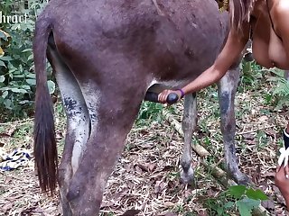 Small Dog Bestiality Porn Horse Girl