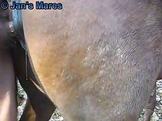 Woman With Animal Porn