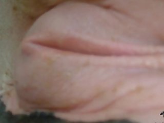 Animal Sucks Cock Porn
