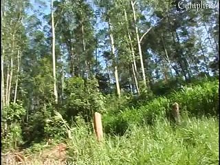 Stuffed Animal Porn Gif