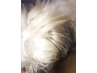 Animal Action Porn