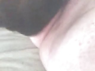 Animal Crossing Porn Patterns