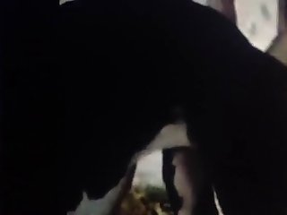 Stuck Animal Porn