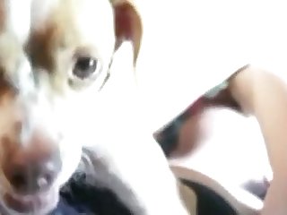 Human X Animal Gay Porn