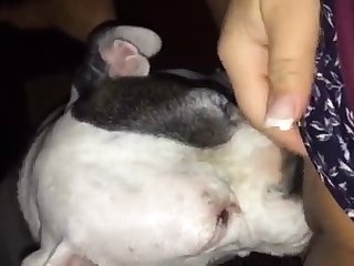 Animal Porn Scat