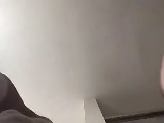 Animal Crossing Porn Camel