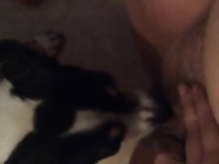 Sexy Animal Costume Porn