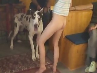 Animal Crossing Ankah Porn