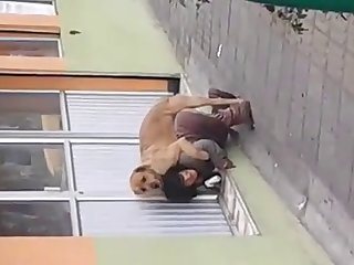 Animal Crossing Porn Video Meme