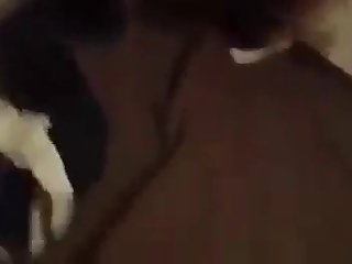 Animal Porn Tick