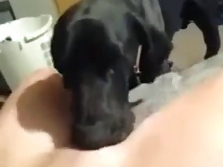 Woman Swallows Live Animal Porn