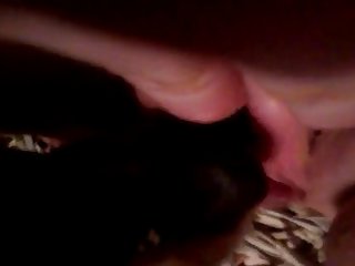 Animal Crossimg Porn
