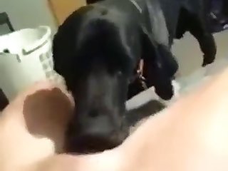 Woman Swallows Live Animal Porn