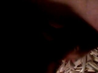 Animal Crossimg Porn