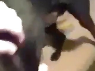 Woman Swallows Live Animal Porn