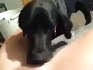Woman Swallows Live Animal Porn