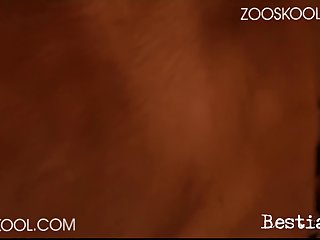 Zoo Sex Cumshot
