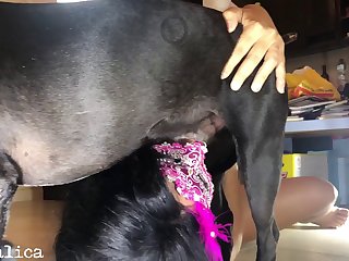 Xnxx Zoo Fuck