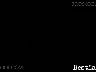 Zoo Sex Amateurs
