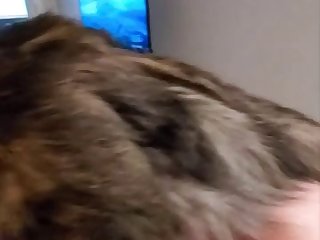Porn Zoo Anime