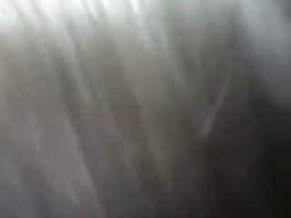 Zoofilia Xxx Gallina