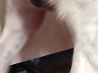 Video Porno De Zoofilia Gratis