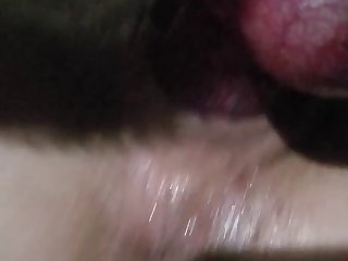 Zoofilia Con Una Perrita