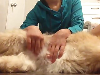 Zoofilia Gay Sex