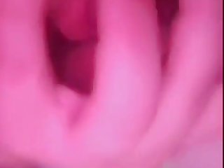 Zoofilia Xxx Cartoon