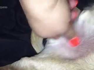 Videos Zoofilia Hombre