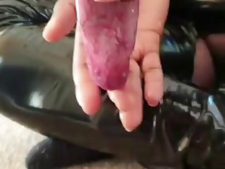 Porno Zoofilia Con Hombre