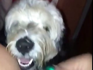 Zoofilia Hombre Y Mascota