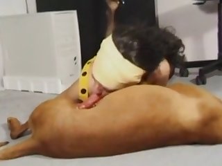 Videos Porno De Zoofilia Con Caballos