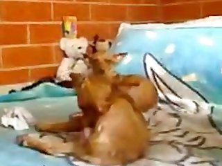 Zoofilia En La Biblia