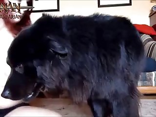 Porno Yeguas Zoofilia