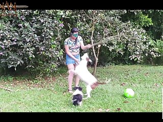 Porno Zoofilia Pitbull