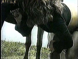 Zoofilia Portugues