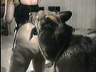 Zoofilia Con Mi Perro Xxx