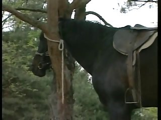 Video De Zoofilia Casero