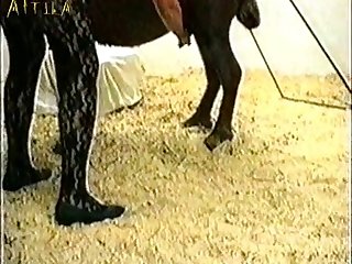 Zoofilia Anal Casero