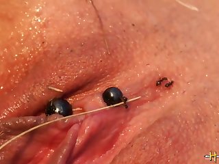 Zoofilia Gravida
