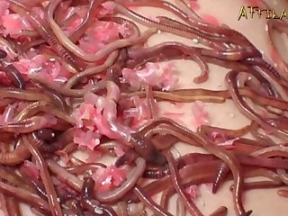 Videosde Zoofilia