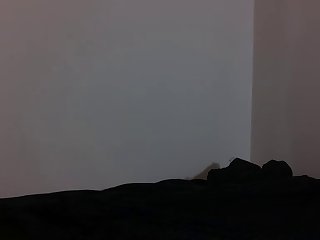Zoofilia Sex Filmy
