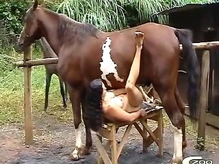 Videos Sexuales De Zoofilia