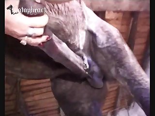 Mejor Pagina De Zoofilia