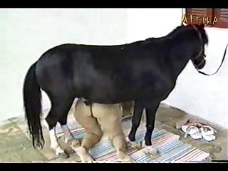 Zoofilia Mulher Transando Com Animais