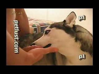 Zoofilia Xxx Xvideos
