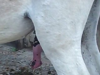 The Young Woman Did Not Anticipate The Stallion's
